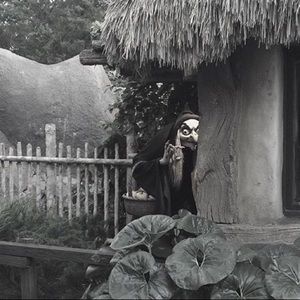 Meet your Posher, Ebony